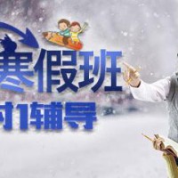 煙臺新航道托福寒假班