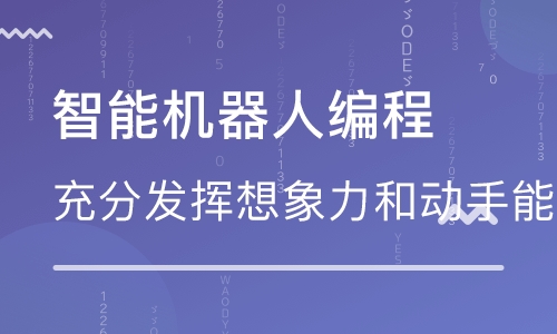 長沙少兒編程培訓學校