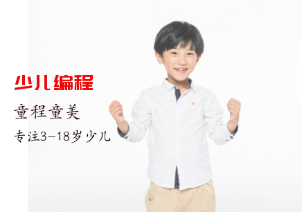 蕪湖鳩江區(qū)少兒編程