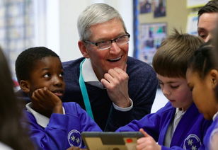 成都新都區少兒編程